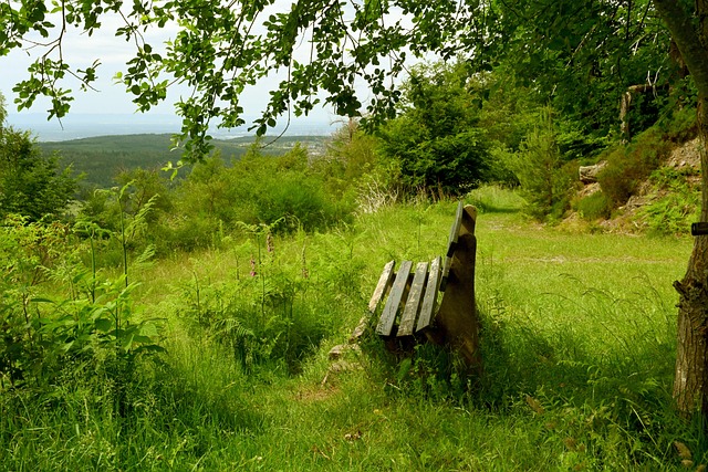 詹：我在第二个失球中的判断完全错误；进球后就丢球不该发生