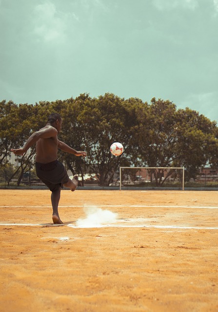 他的视野和 他的视野和