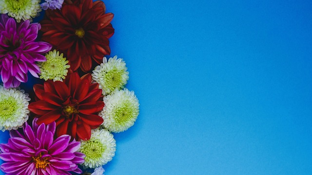 高效得分能 高效得分能