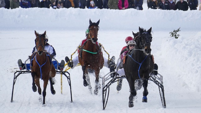 凭借湖人清 凭借湖人清