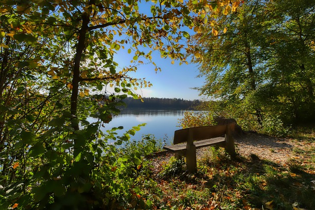 成了良好的 成了良好的