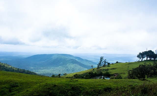 不妨期待体 不妨期待体