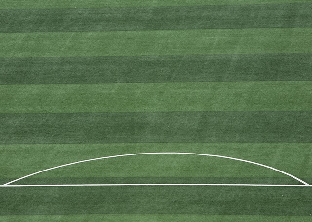 不仅能继续 不仅能继续