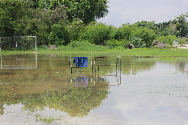 头的足球未 头的足球未