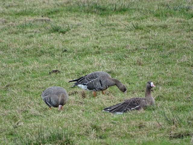 赛一直备受 赛一直备受